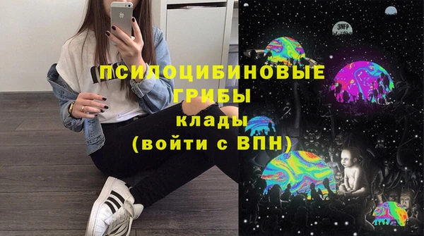 МДПВ Алексеевка